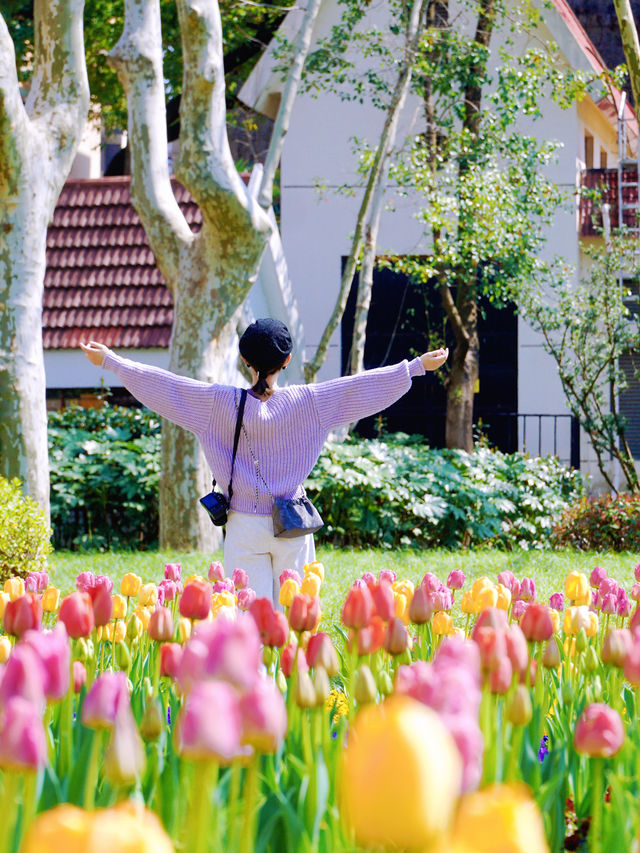 盤點上海十大美景鬱金香公園之｜閘北公園