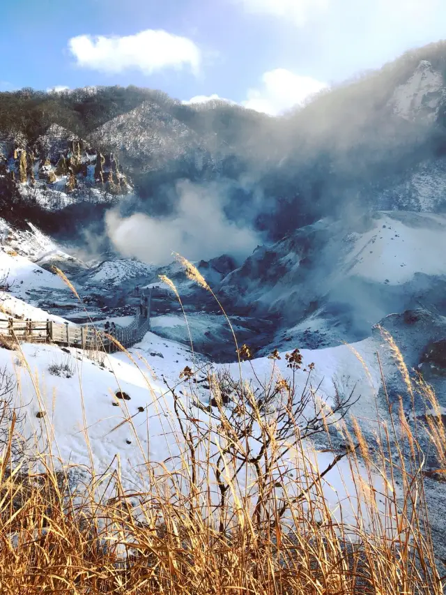 일본 4일 여행|청명절 연휴에 즐기는 일본 여행