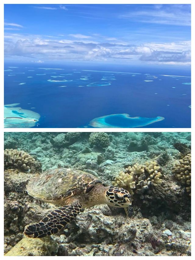 馬富士島：馬爾代夫的夢幻之島，開啟極致海島度假之旅