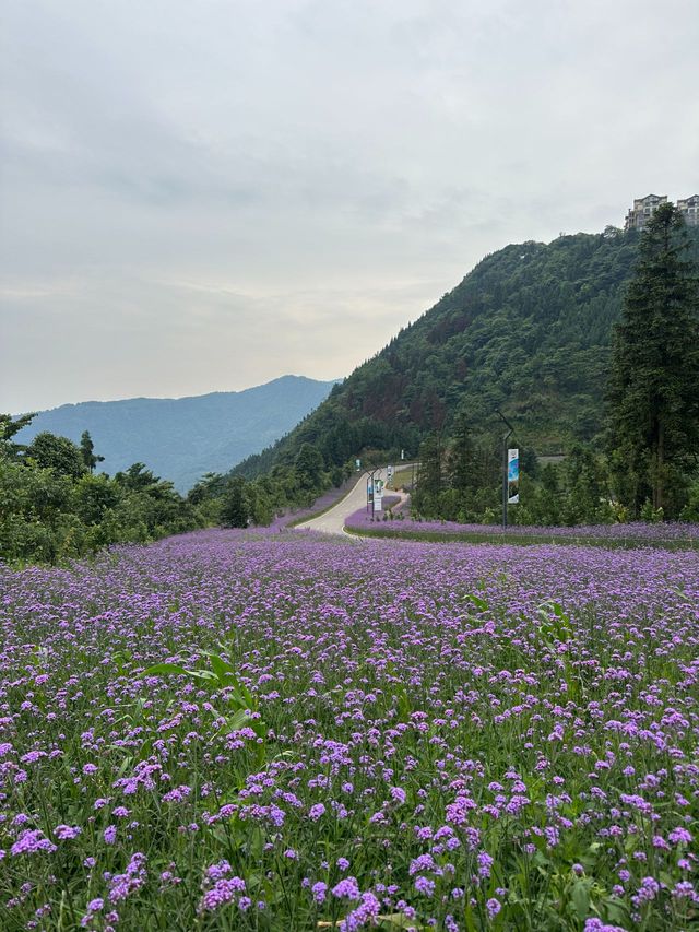 甘孜藏族自治州5天遊 清明出行正當時