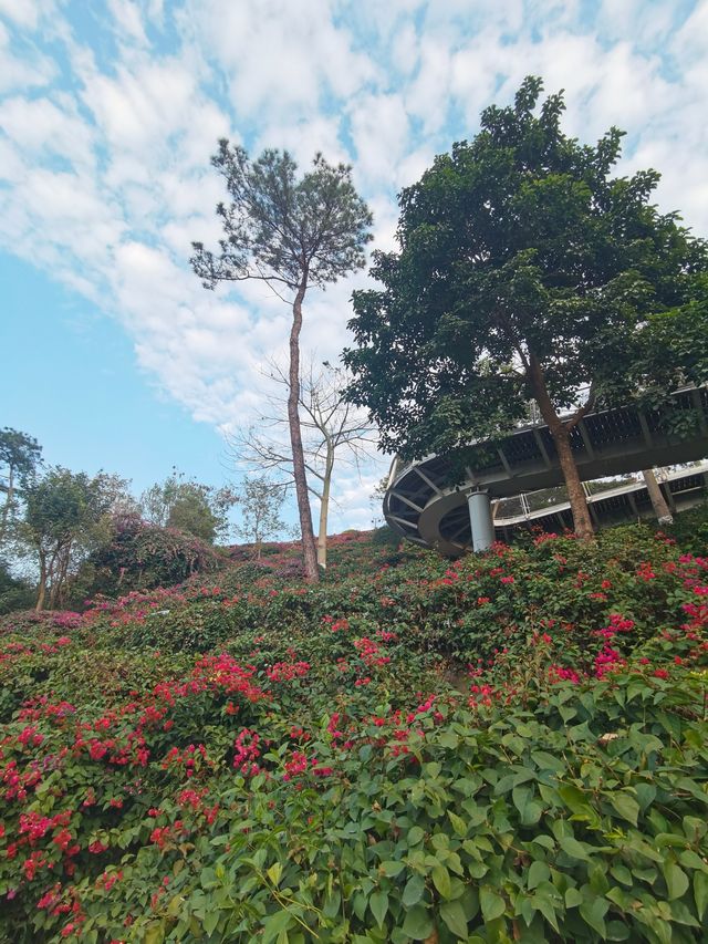 廈門山海健康步道狐尾山段全線打卡攻略