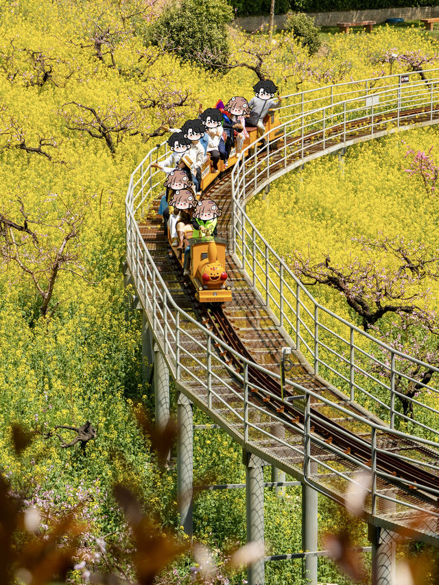 冇去婺源人逼人，湖州都可以上春山