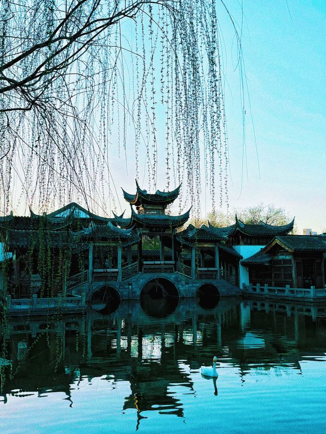 絕絕子！東宛園景區，藏在身邊的江南詩意秘境
