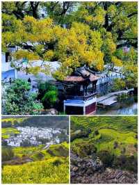 4 月去婺源玩嘅攻略，睇呢篇就夠喇