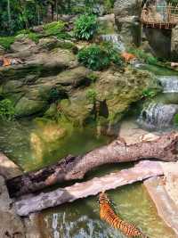 Singapore's New Rainforest Adventure Park Opens!