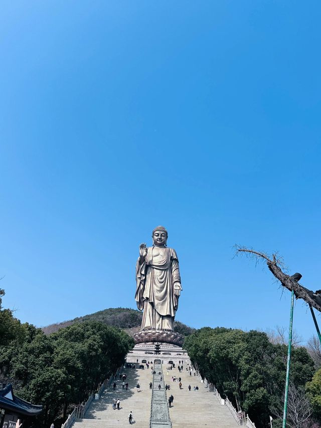 2日無錫遊 老年人出行必看攻略