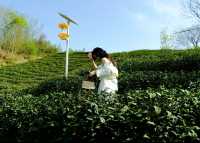 信陽｜河南私藏氧吧指南｜同閨密一齊投入山水之間