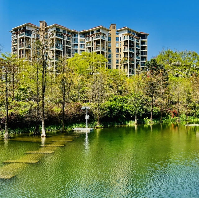深圳原來有個荔枝公園？