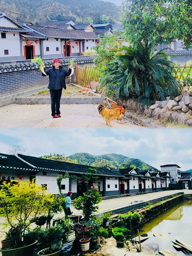 美麗鄉村 石圳村