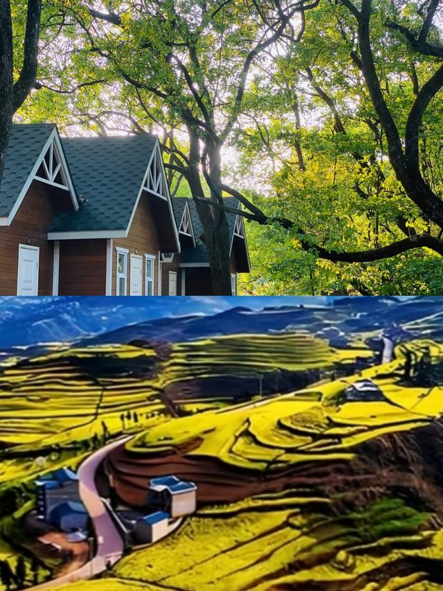 寧德受罪已回，勸退一點也沒有。