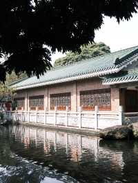 中山名樹園:城市中的自然瑰寶