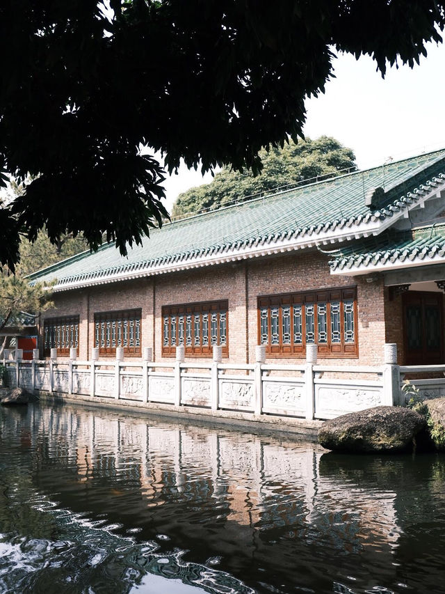 中山名樹園:城市中的自然瑰寶 中山名樹園:城市中的自然瑰寶