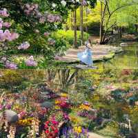共青森林公園 現實版莫奈花園攻略來啦