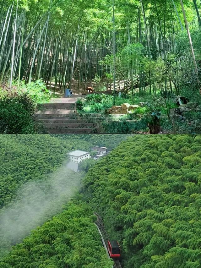 【Day1·天目湖山水園：5小時承包湖山浪漫】