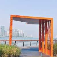 深圳太子灣濱海岸線公園！新開的！人少景美還免費～