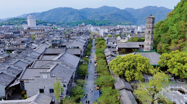 府城一日遊｜從城牆花開到舌尖浪潮