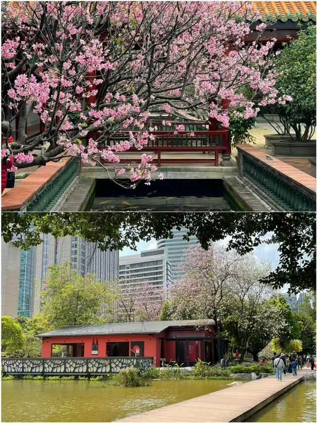 廣州遊玩已回 你不知道的N種打卡方式