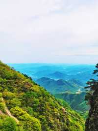 雲上草原 | 闖入雲端的綠色夢境，邂逅絕美風光