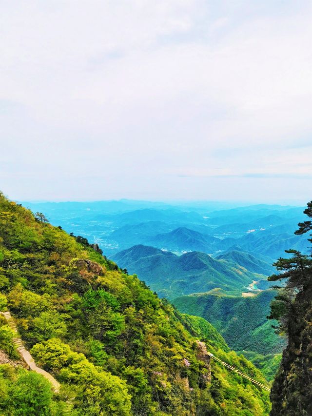 雲上草原 | 闖入雲端的綠色夢境，邂逅絕美風光