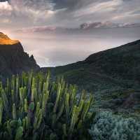 Canary Islands