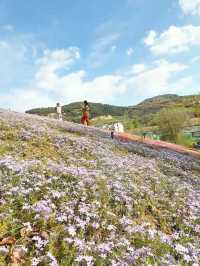 探秘濟南牧牛山山體公園:城市中的山林野趣