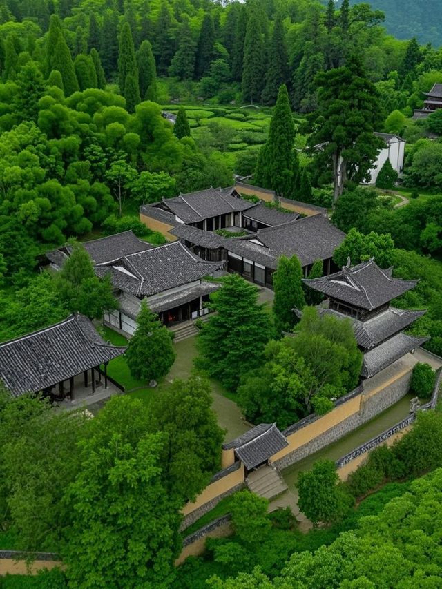 浙江親子遊已結束！這3個坑讓我暴風哭泣（但真香預警）