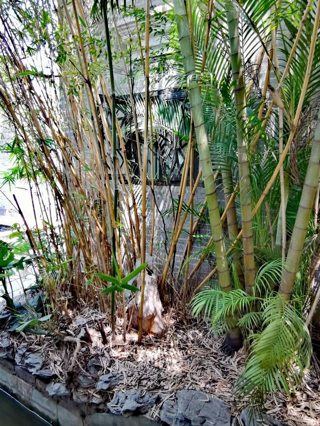喺民巷裏面嘅十香之園