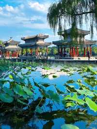 在皇帝的後花園散步:時空摺疊的園林敘事