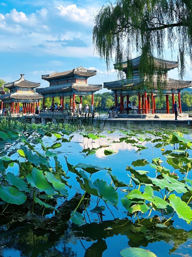 在皇帝的後花園散步:時空摺疊的園林敘事 在皇帝的後花園散步:時空摺疊的園林敘事