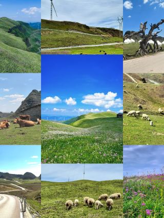 Guizhou also has its own Altay.