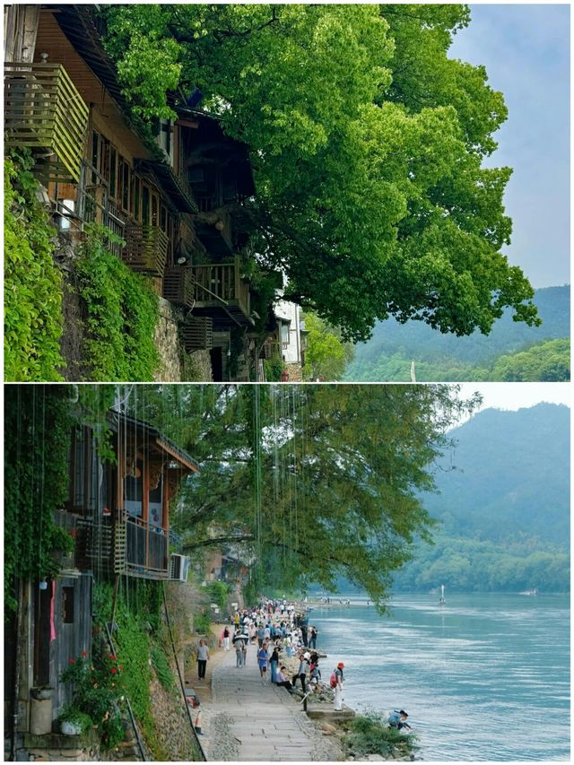 去了5次麗水，整理出來的攻略