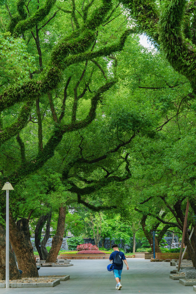 佛山真係好chill…願意去一萬次嘅生命力公園