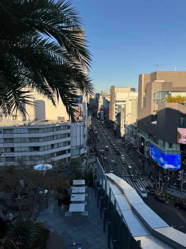 東京原宿必逛的兩大購物聖地攻略，建築控與購物狂都愛！