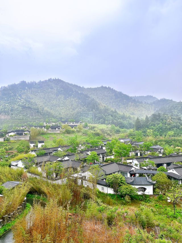 安吉余村自駕遊｜喺山溝溝解鎖初夏悠閒感