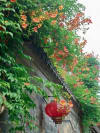 得一日喺南京，就跟住呢條秦淮河沿線路線玩啦！
