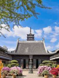 華東五市5日遊上海等地旅遊攻略