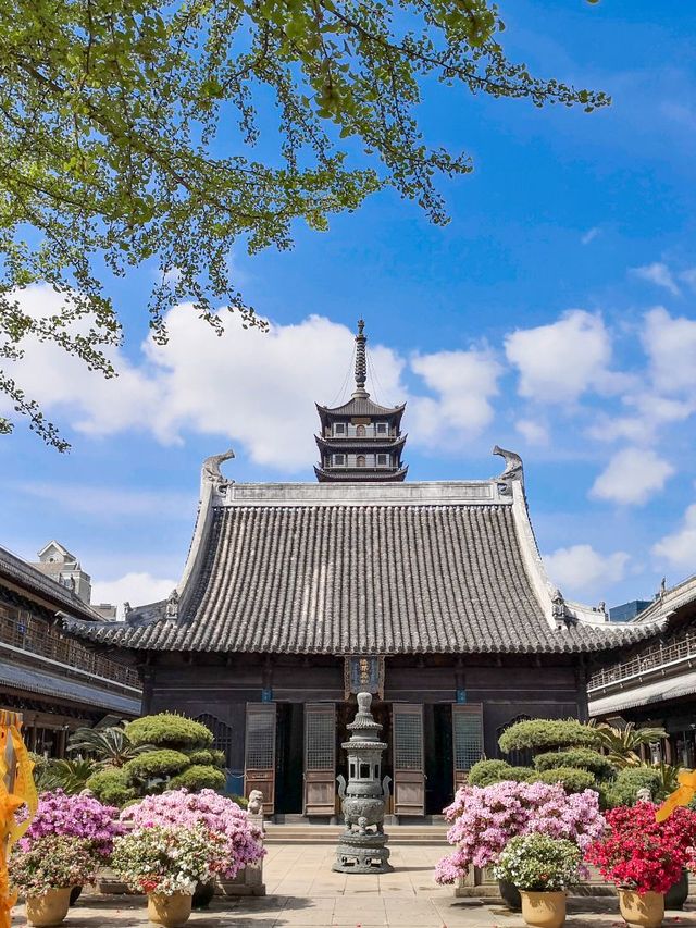華東五市5日遊上海等地旅遊攻略