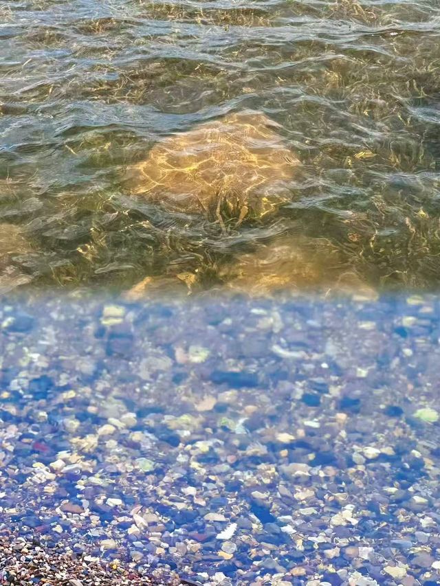春城慢活，邂逅浪漫花海與滇池日落