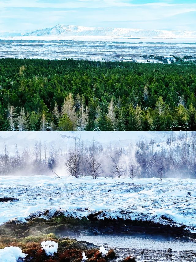 冰島——這片遺落在北大西洋的孤獨仙境