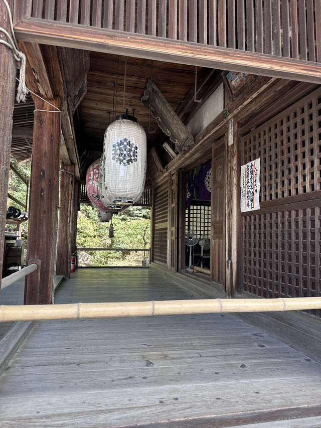 Kyoto, Japan’s Best Budget City? So Many Free Attractions! Everyone Can Come :D 