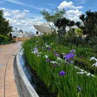 【大阪必去！空中花園南波公園💐行到腳軟都唔捨得走】