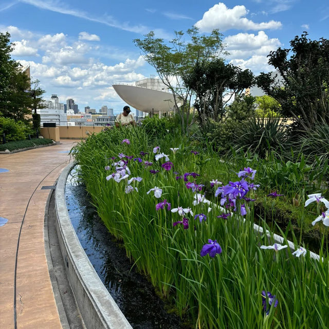【大阪必去！空中花園南波公園💐行到腳軟都唔捨得走】