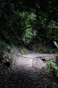 香積寺探幽 | 合谷山居專屬行山體驗
