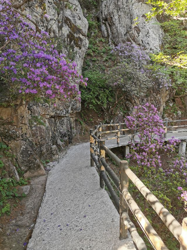 【河南平頂山魯山縣】堯山風景區自駕遊攻略。