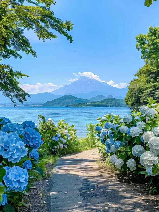 無盡夏嘅日本，闖入藍紫繡球花海秘境！