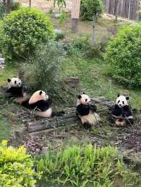 成都旅遊必備攻略（超全）