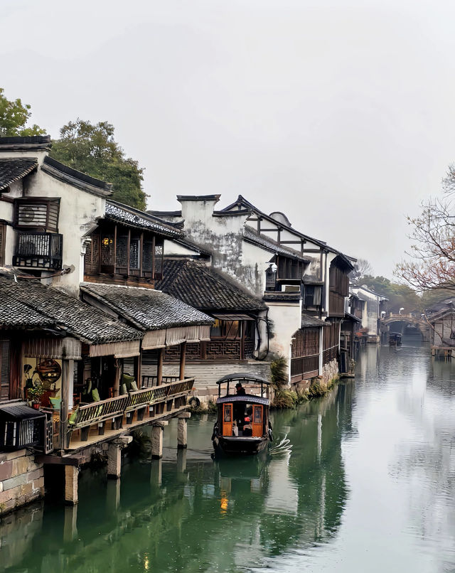 烏鎮：煙雨入江南 山水如墨染