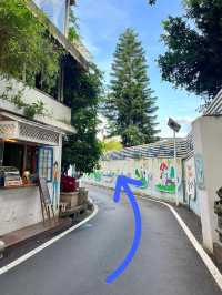 廈門呢條路入去靚到癲！！！一般人我唔講…
