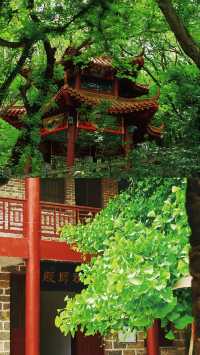 【秘境吸氧計劃！2日1夜獨享翡翠山水】