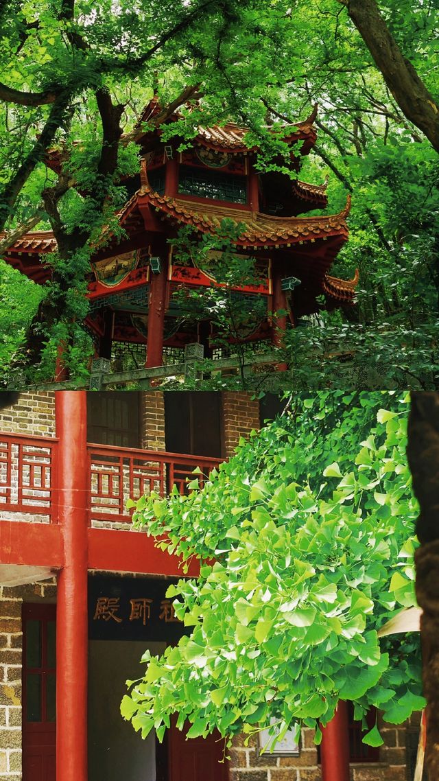 【秘境吸氧計劃！2日1夜獨享翡翠山水】